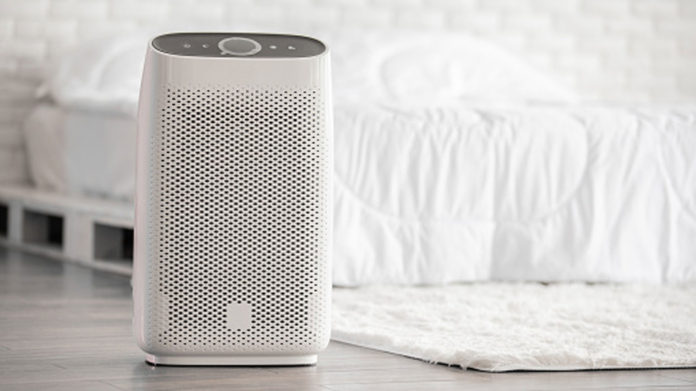 Things-You-Should-Know-About-a-Portable-Air-Purifier-on-successtuff