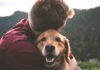 Trusting-Relationships-and-Building-Bonds-with-Pets-on-successtuff