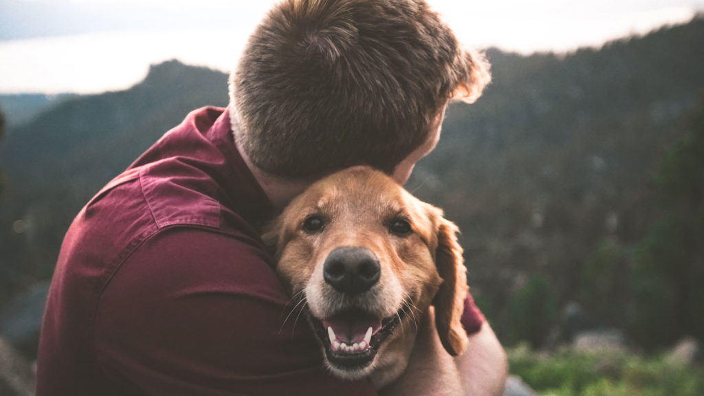 Trusting-Relationships-and-Building-Bonds-with-Pets-on-successtuff