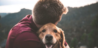Trusting-Relationships-and-Building-Bonds-with-Pets-on-successtuff